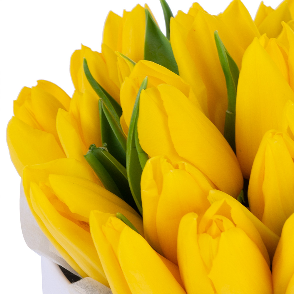 35 желтых тюльпан в белой шляпной коробке
