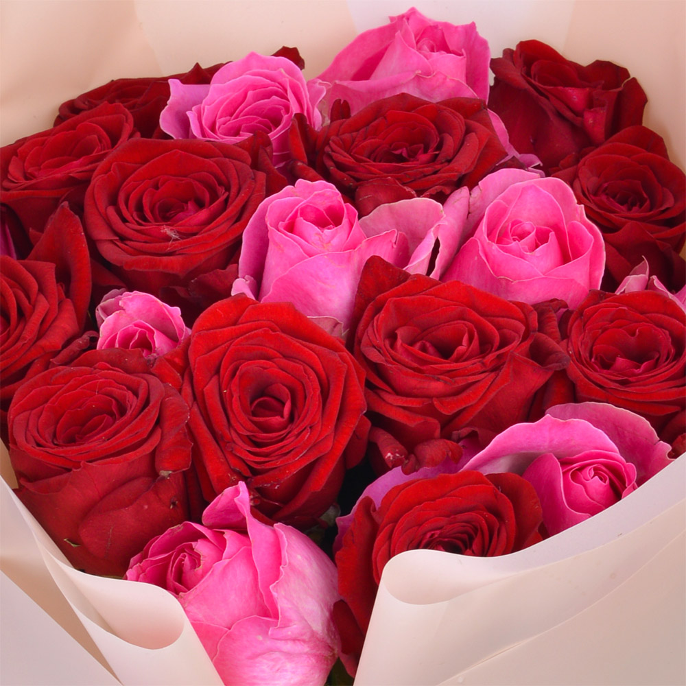 21 разноцветная роза Premium 50 см