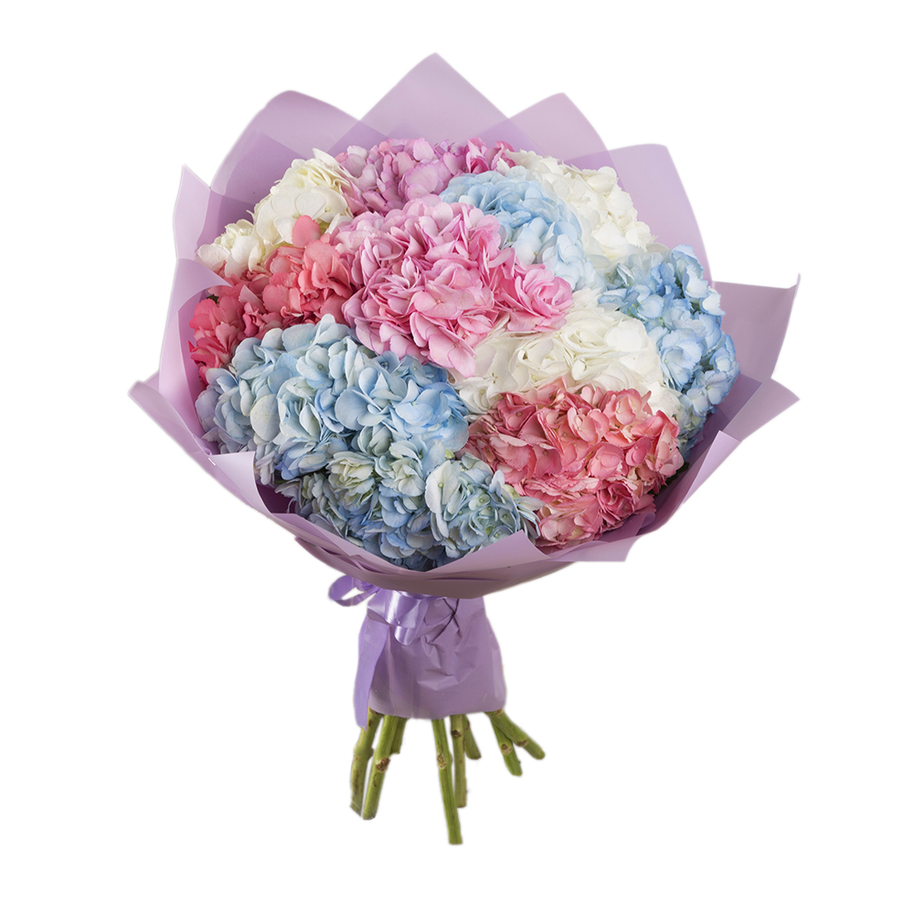 Букет из 11 разноцветных гортензий