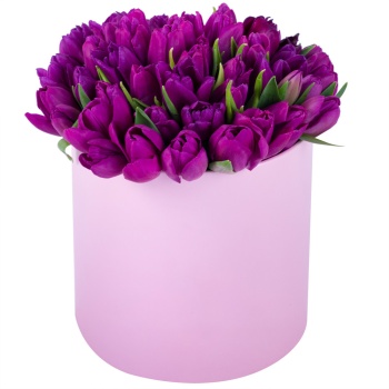 Фиолетовый