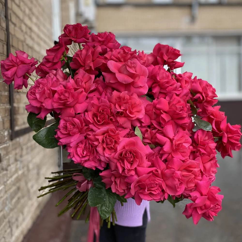 Французская малиновая роза 51 шт.