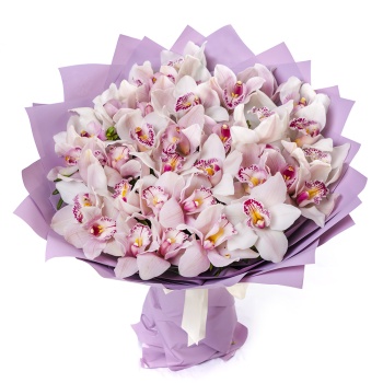 Букет из 35 розовых орхидей