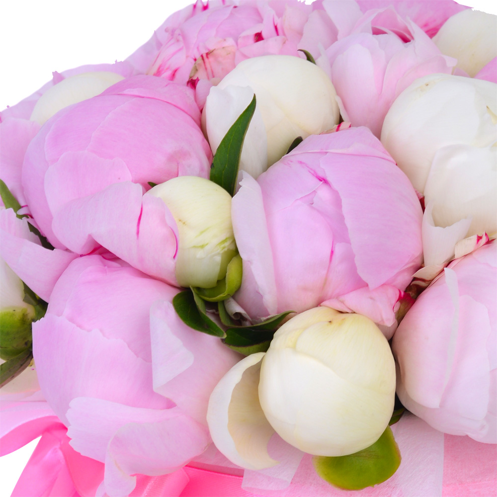 Букет из 21 разноцветного пиона в розовой шляпной коробке