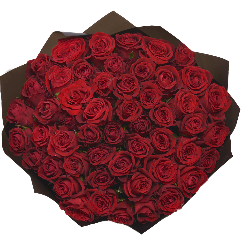 51 красная роза в пленке 40 см.