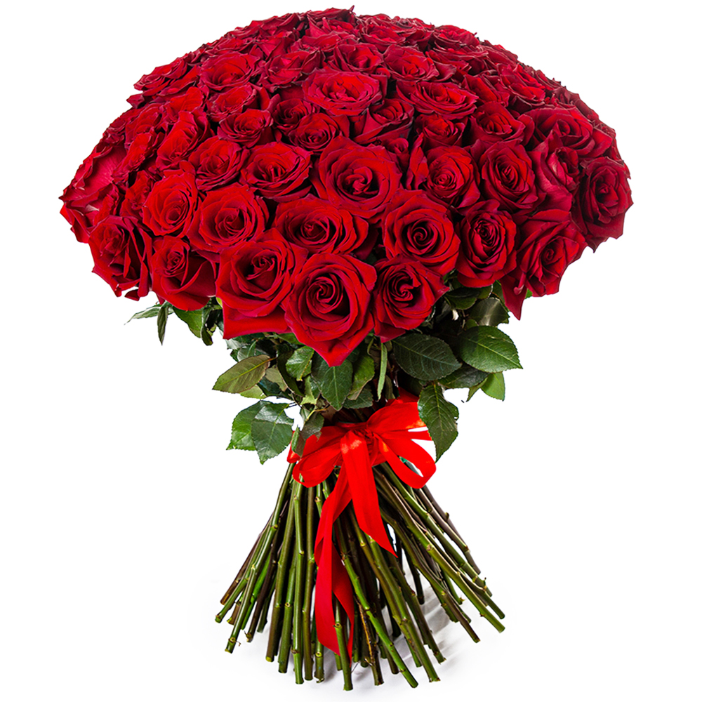 101 красная роза Premium 70 см.