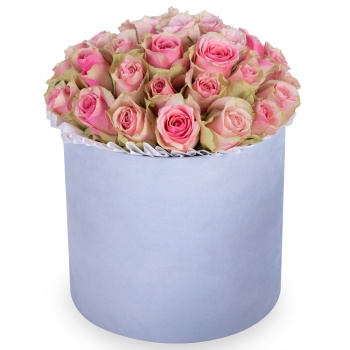 Букет из 25 бело-розовых роз в серой бархатной шляпной коробке