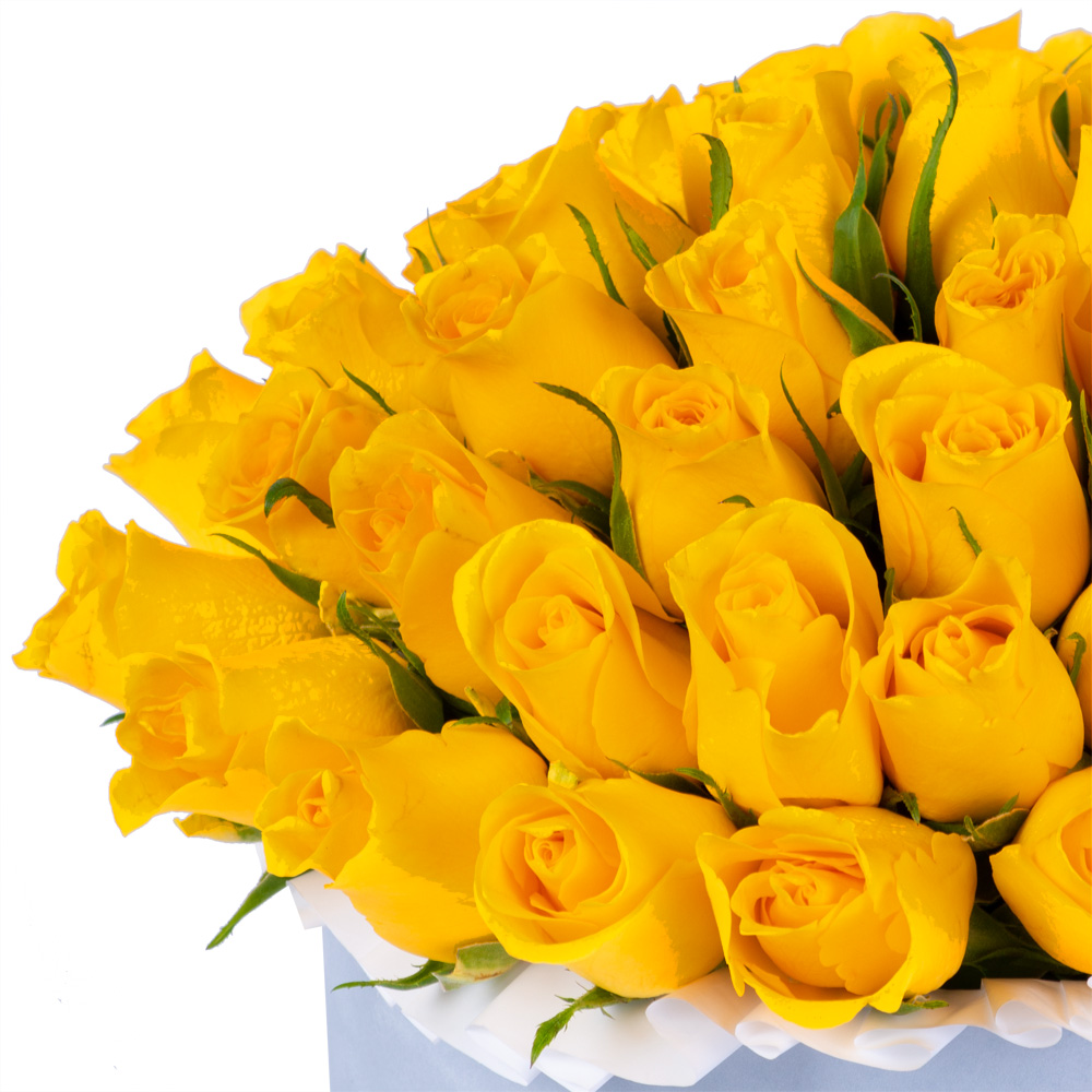 51 желтая роза в серой бархатной шляпной коробке