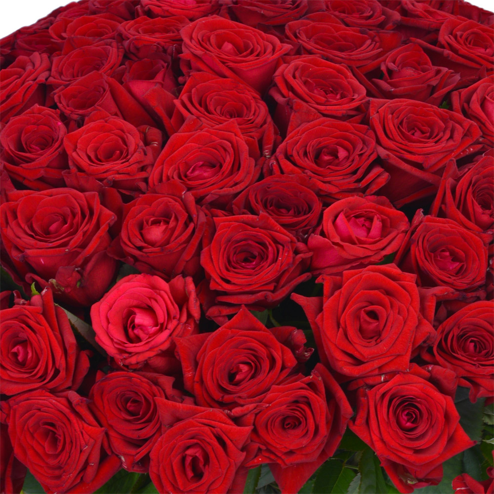 Букет из 101 красных роз Premium 40 см