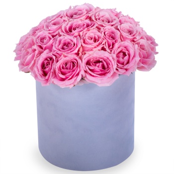 Букет из 35 розовых роз premium в серой бархатной шляпной коробке
