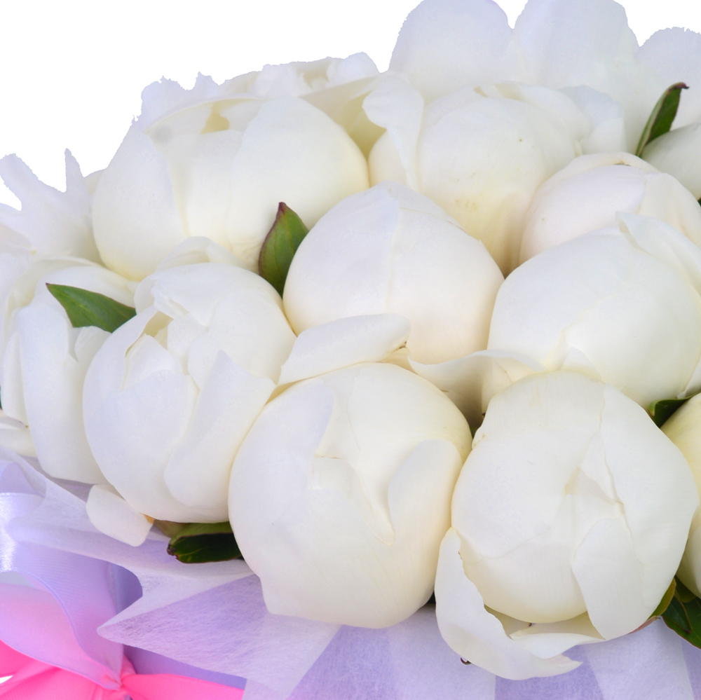 Букет из 21 белого пиона в фиолетовой шляпной коробке