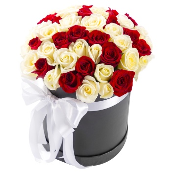 51 красная и белая роза в шляпной коробке