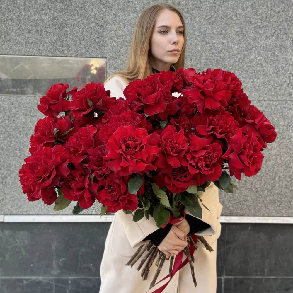 Французская красная роза 51 шт.