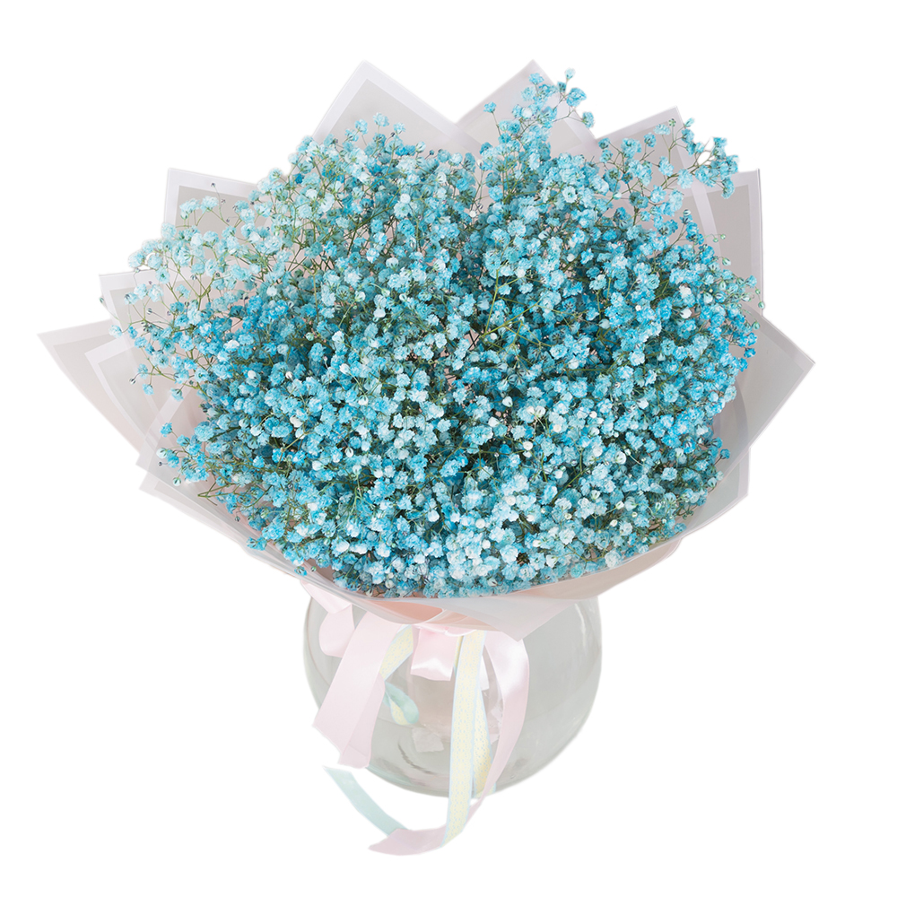 Букет из 15 бирюзовых гипсофил