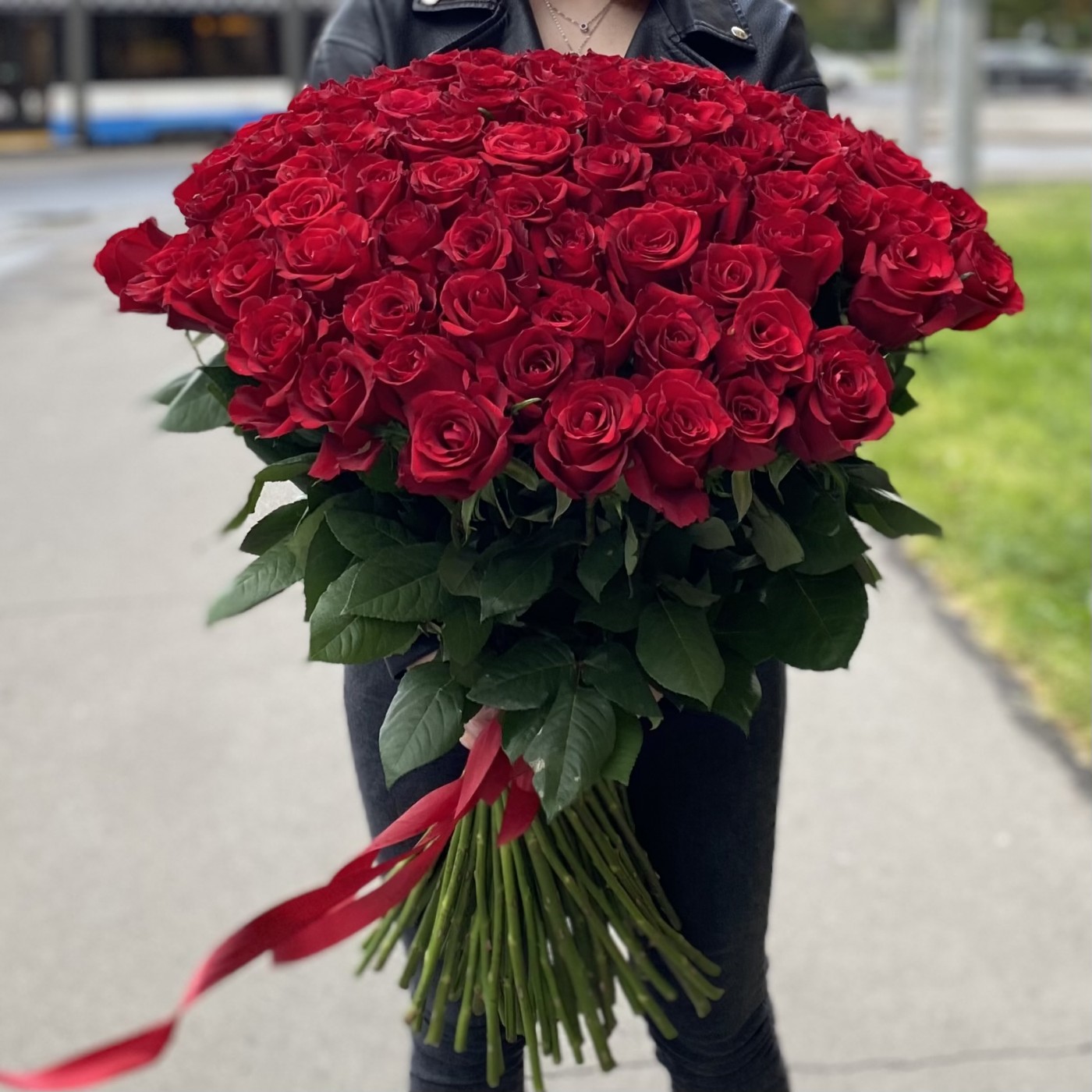 101 красная роза Эквадор 80 см.