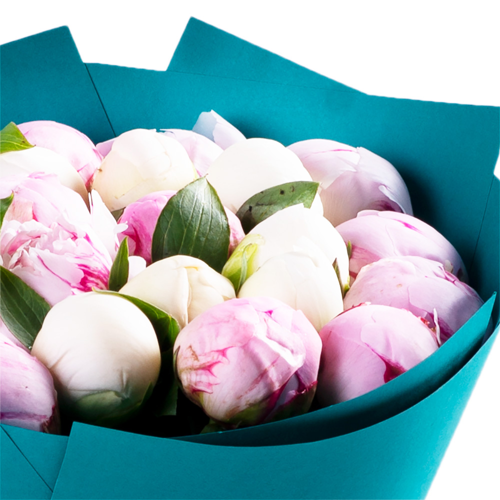 25 разноцветных пионов