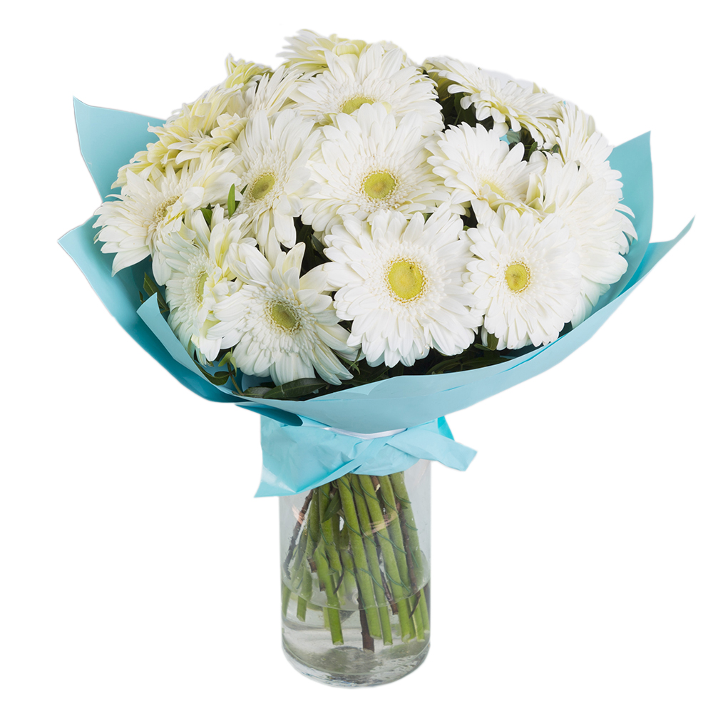 Букет из 21 белой герберы