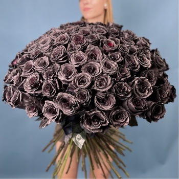 Букет из 101 черной розы Эквадор