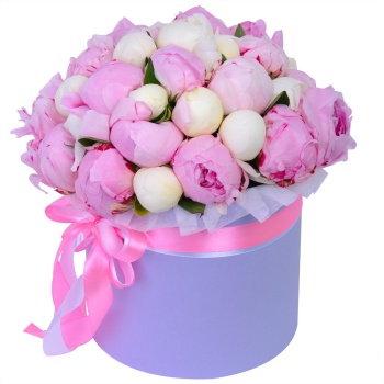 Букет из 35 разноцветных пионов в фиолетовой шляпной коробке