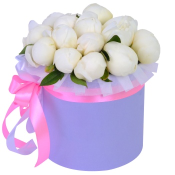Букет из 15 белых пионов в фиолетовой шляпной коробке