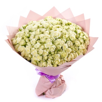 Букет из 101 белой кустовой розы