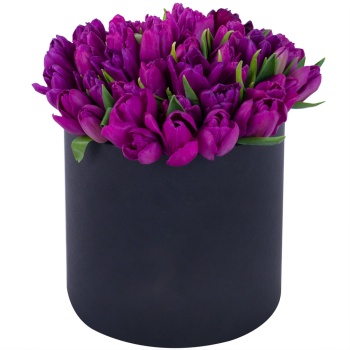 Фиолетовый