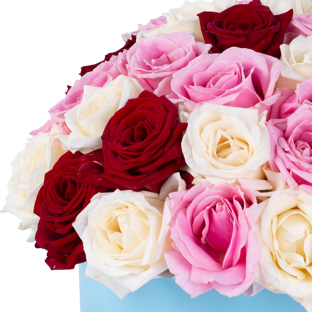 Букет из 51 разноцветной розы premium в голубой шляпной коробке