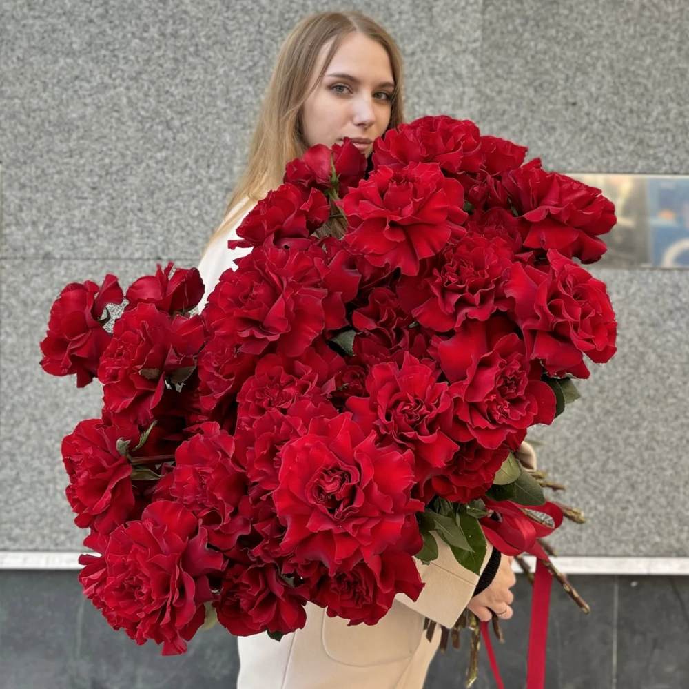 Французская красная роза 51 шт.