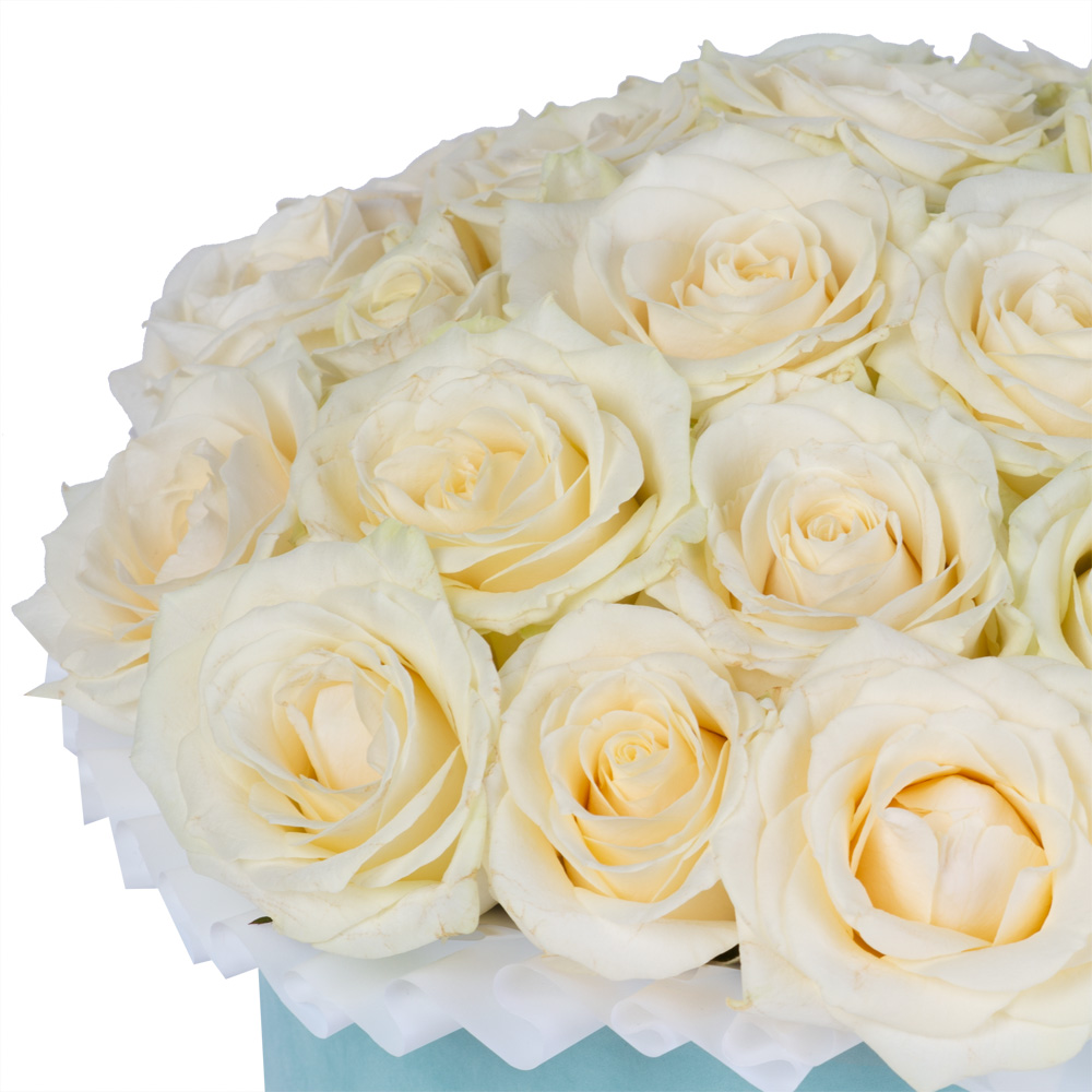 25 белых роз premium в зеленой бархатной шляпной коробке