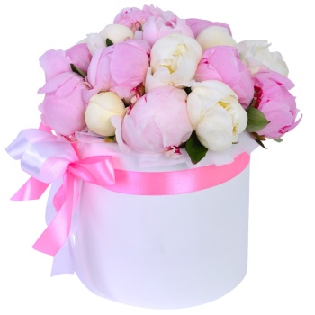 Букет из 19 разноцветных пионов в белой шляпной коробке